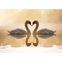 mark profile picture