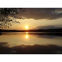 Allan Tillett Avatar