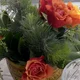 Noelene_Talbot