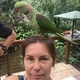 Karyn