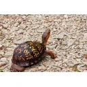 Vanessa profile picture