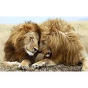 Jono profile picture