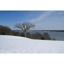 Miriam profile picture