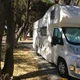 Dougie