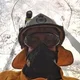 Matt