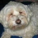 Diane W. profile picture