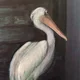 grayd