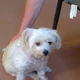 Charliegirl