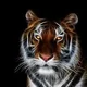 Firecat