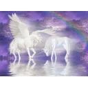 Flora profile picture