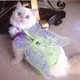 Unrulymisskitten