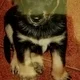 Charlie