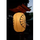 Garry Macdonald profile picture