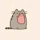 Cat&Mic M.