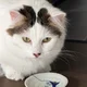 Margi