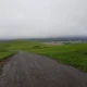RDV
