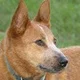 Clive R. B.