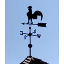 Jo Bellew profile picture