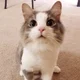Tom