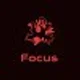 focus767767