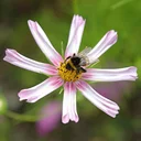 Terry O'Neill profile picture