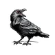 Corvid