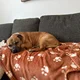 Tim