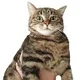 Oliver T.