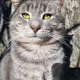 Nak C.