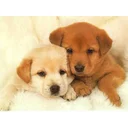 Alan profile picture