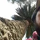 bmerhi825