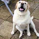 Happy Lump