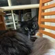Susan
