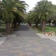 Remo
