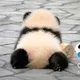 Fuhai L.