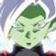 Zamasu B.