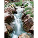 Michael T profile picture