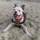 Ms. Sunny B.