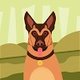 troy