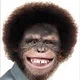 Ape R.