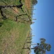 Dapto