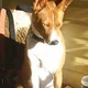 lizzieonline1