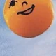 Y L.