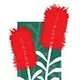melaleuca.chase81