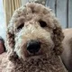 Ellie D.