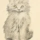 Mallyth