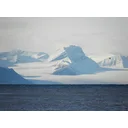 David J profile picture