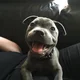 Nala F