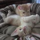 wendyg