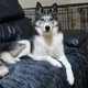 Bri